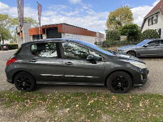 Peugeot 308  picture 6