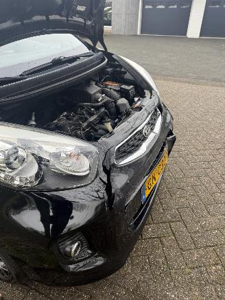 Kia Picanto  picture 13