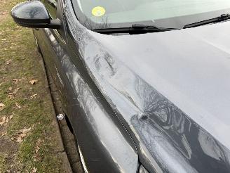 Renault Mégane  picture 10