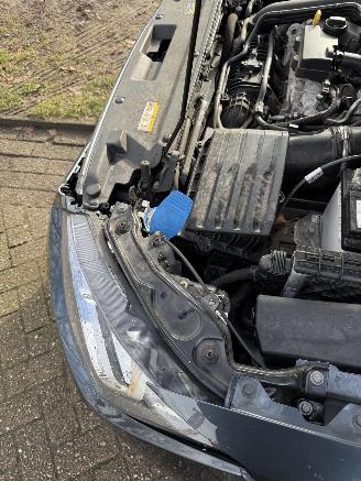 Seat Arona  picture 20