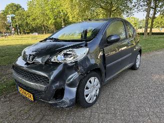 škoda osobní automobily Peugeot 107  2009/1