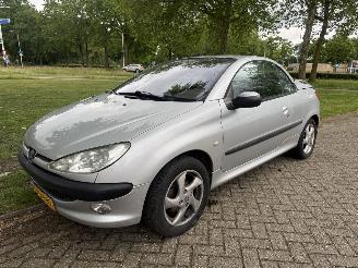 Schadeauto Peugeot 206  2002/1