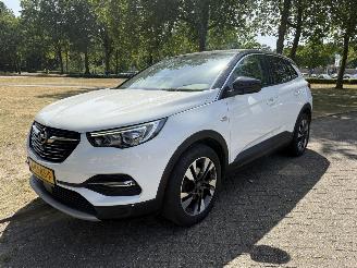 škoda osobní automobily Opel Grandland X 2018/1