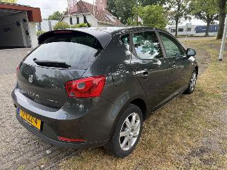 Seat Ibiza  picture 5
