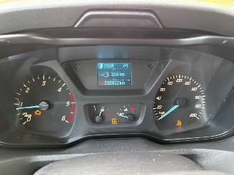 Ford  Transit picture 14
