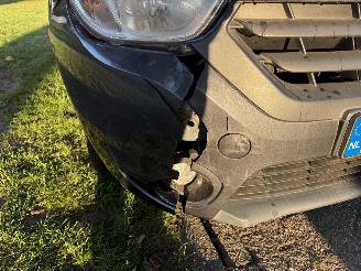 Dacia Dokker  picture 12