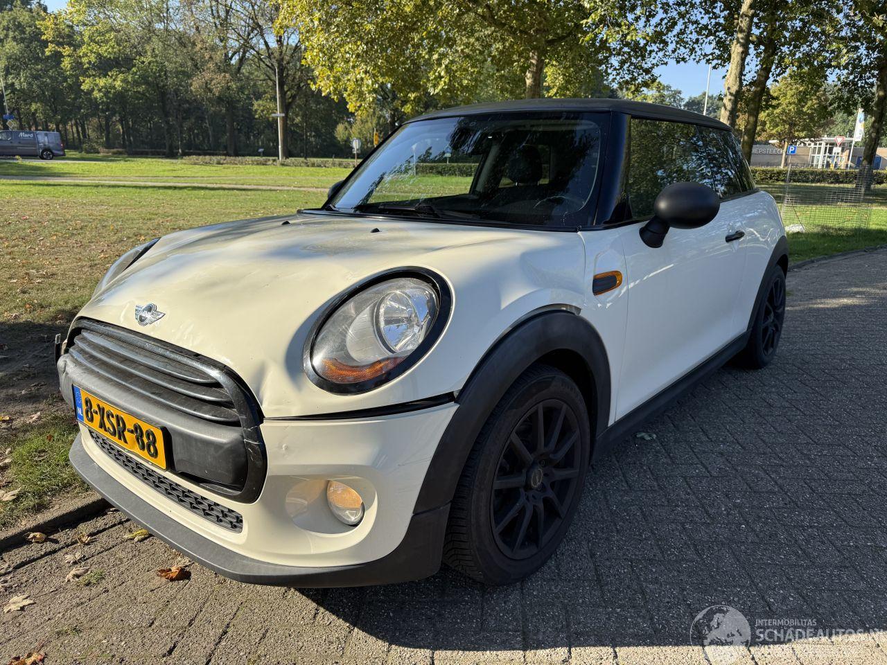 Mini One 