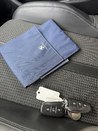 Peugeot 2008  picture 21