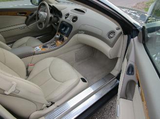 Mercedes Sl-roadster 550 - Panoramadak picture 15