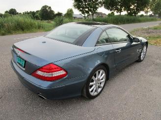 Mercedes Sl-roadster 550 - Panoramadak picture 5