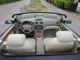 Mercedes Sl-roadster 550 - Panoramadak picture 31