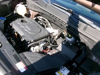 Kia Sportage 1.7 Crdi Lounge picture 9