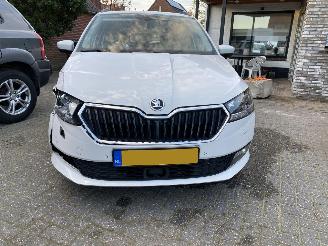Skoda Fabia Auto is gereserveerd 1.0 TSi Combi 70 KW picture 43