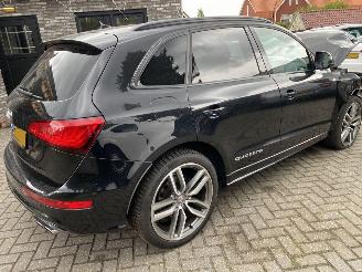 Audi SQ5 3.0 TSFI Quattro picture 31