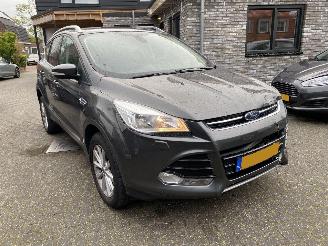 Ford Kuga 1.5 titanium picture 2