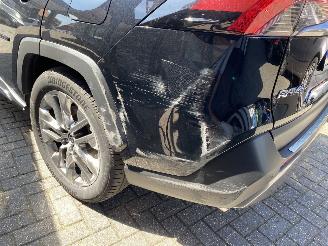 Toyota Rav-4 2.5 Hybrid AWD Style picture 41