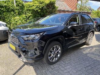 Toyota Rav-4 2.5 Hybrid AWD Style picture 42