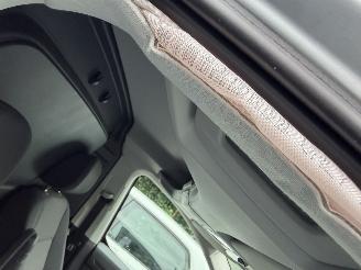 Volkswagen Caddy 2.0 Tdi Comfort picture 54