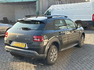 Citroën C4 cactus 1.6 Blue Hdi 100 Hatchback 4Dr Diesel 1.560cc 73kW (99pk) FWD picture 5