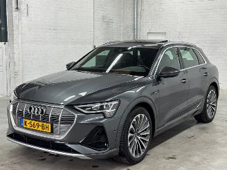 uszkodzony samochody osobowe Audi E-tron 55 quattro 3x s-line SUV  Elektrisch  300kW (408pk) 4x4 2018-09/2023-07  EASA; EAWA 2020/11