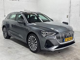 Audi E-tron 55 quattro 3x s-line SUV  Elektrisch  300kW (408pk) 4x4 2018-09/2023-07  EASA; EAWA picture 7