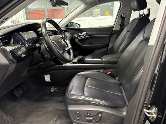 Audi E-tron 50 quattro SUV  Elektrisch  230kW (313pk) 4x4 2019 picture 13