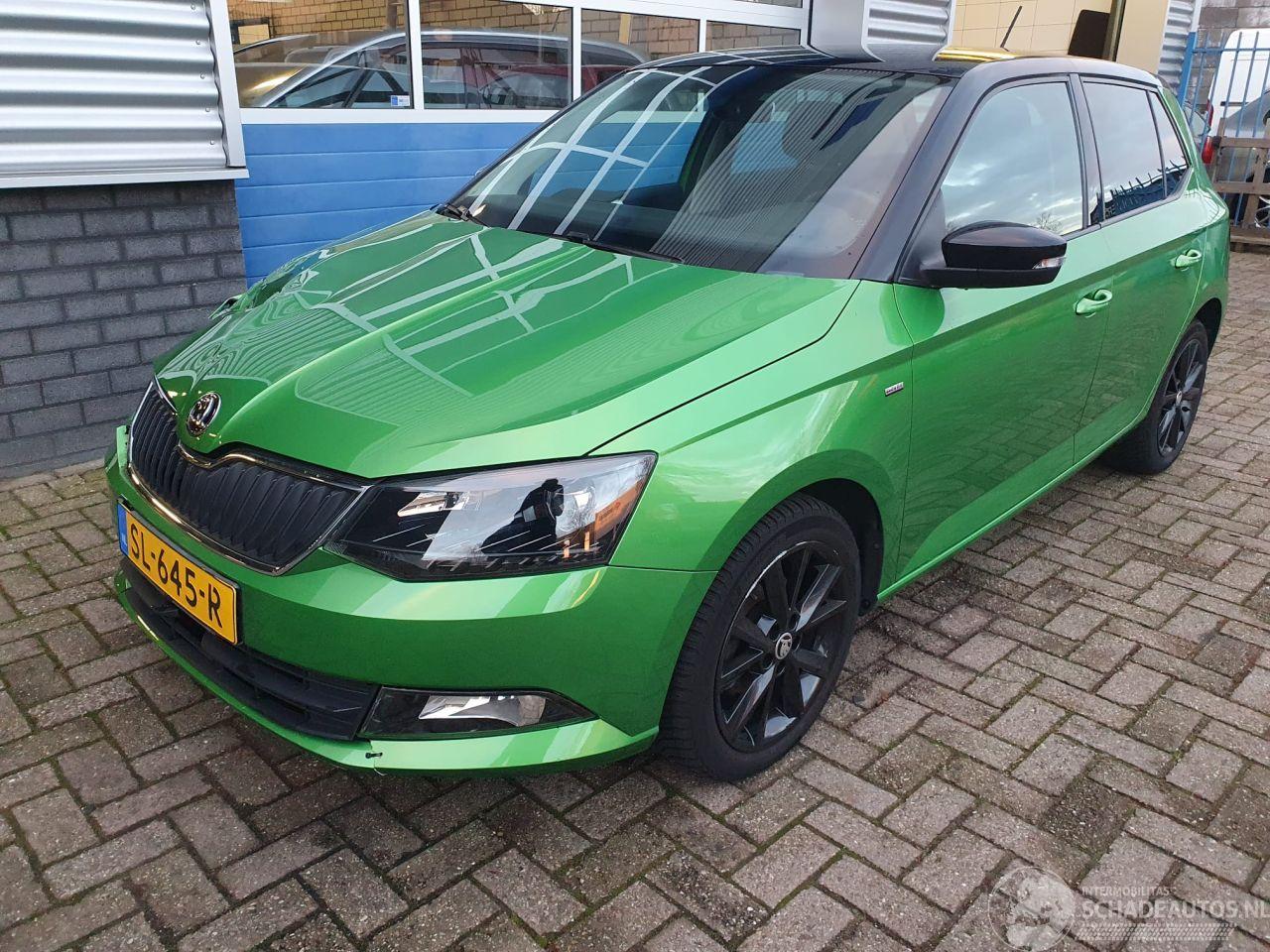 Skoda Fabia 1.0 TSI Clever