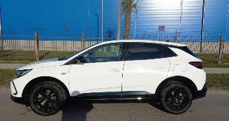 Opel Grandland 1.6 Automaat Hybrid picture 3