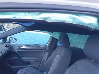 Volkswagen Golf 2.0 TSI GTI Performance Business Automaat picture 19