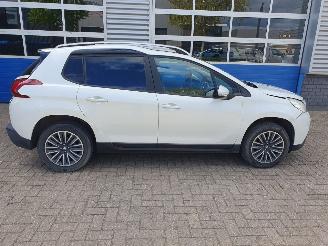 Peugeot 2008 1.2 PureTech Active picture 6