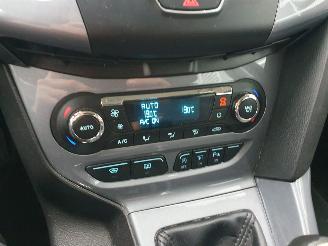 Ford Focus 1.6 EcoBoost Lease Titanium schadevrij picture 20