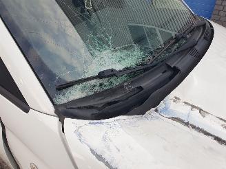 Fiat 500 1.0 TwinAir Pop picture 11