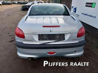 Peugeot 206  picture 6