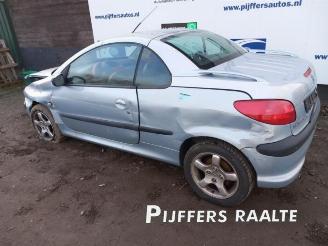 Peugeot 206  picture 7