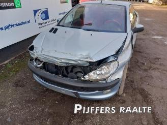 Peugeot 206  picture 3