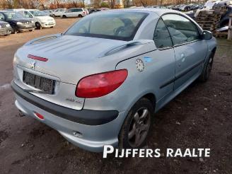 Peugeot 206  picture 5