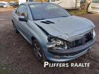 Peugeot 206  picture 4