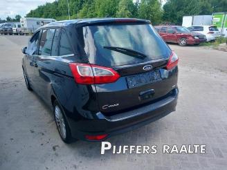 Ford Grand C-Max Grand C-Max (DXA), MPV, 2010 / 2019 1.0 Ti-VCT EcoBoost 12V 125 picture 13