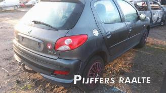 Peugeot 206 206+ (2L/M), Hatchback, 2009 / 2013 1.4 XS picture 4