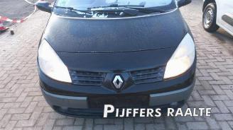 Renault Grand-scenic Grand Scenic II (JM), MPV, 2004 / 2009 2.0 16V picture 4