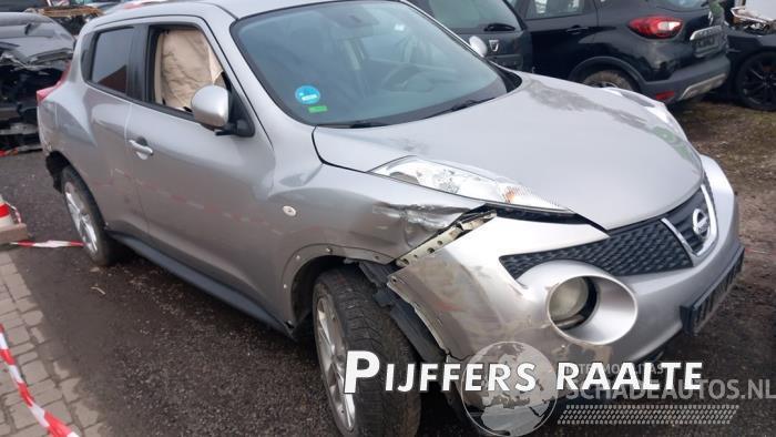 Nissan Juke Juke (F15), SUV, 2010 / 2019 1.6 16V