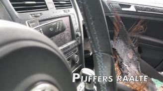 Volkswagen Golf Golf VII (AUA), Hatchback, 2012 / 2021 1.4 GTE 16V picture 18