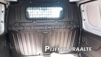 Opel Combo Combo Cargo, Van, 2018 1.5 CDTI 100 picture 19