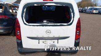 Opel Combo Combo Cargo, Van, 2018 1.5 CDTI 100 picture 8