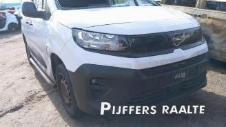 Opel Combo Combo Cargo, Van, 2018 1.5 CDTI 100 picture 2