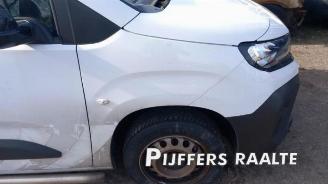 Opel Combo Combo Cargo, Van, 2018 1.5 CDTI 100 picture 6