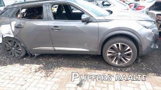 Peugeot 2008 2008 (UD/UK/UR/US/UX), MPV, 2019 1.2 VTi 12V PureTech 130 picture 9