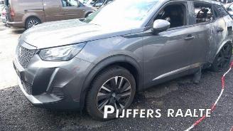 Peugeot 2008 2008 (UD/UK/UR/US/UX), MPV, 2019 1.2 VTi 12V PureTech 130 picture 3
