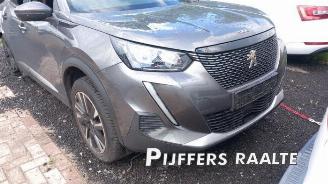 Peugeot 2008 2008 (UD/UK/UR/US/UX), MPV, 2019 1.2 VTi 12V PureTech 130 picture 2