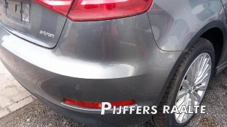 Audi A3 A3 Sportback (8VA/8VF), Hatchback 5-drs, 2012 / 2020 1.4 TFSI 16V e-tron picture 17